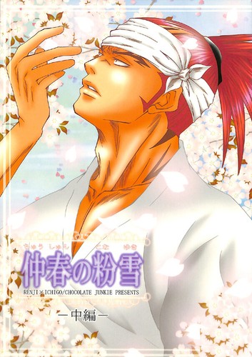 Bleach doujinshi comic book - bleach,
